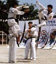 taekwondo