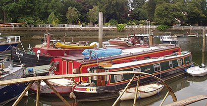 River Thames, Twickenham